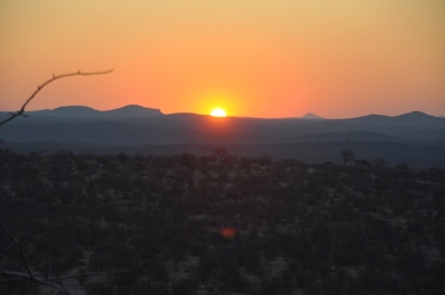 Klik for fuld størrelse