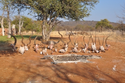 Klik for fuld størrelse