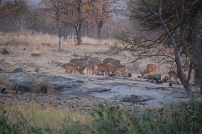 Klik for fuld størrelse