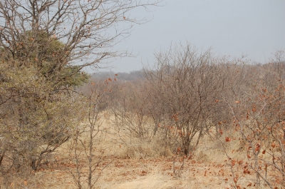 Klik for fuld størrelse