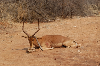Klik for fuld størrelse