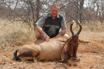 Klik for fuld størrelse