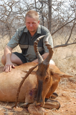Klik for fuld størrelse