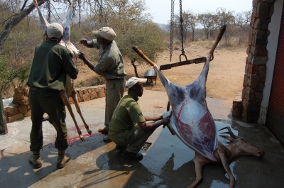 Klik for fuld størrelse