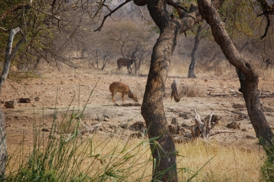 Klik for fuld størrelse