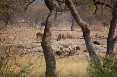 Klik for fuld størrelse