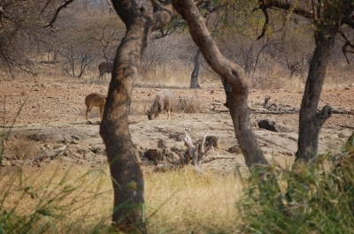 Klik for fuld størrelse