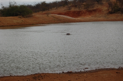 Klik for fuld størrelse