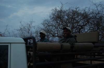 Klik for fuld størrelse