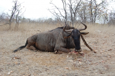 Klik for fuld størrelse