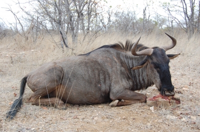 Klik for fuld størrelse
