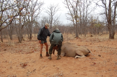 Klik for fuld størrelse