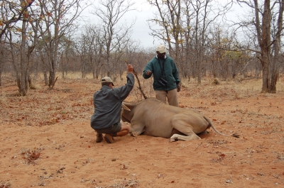 Klik for fuld størrelse