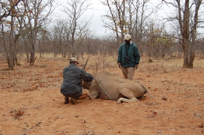 Klik for fuld størrelse