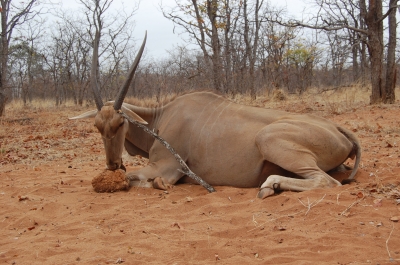 Klik for fuld størrelse