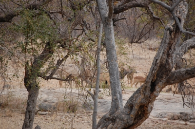 Klik for fuld størrelse